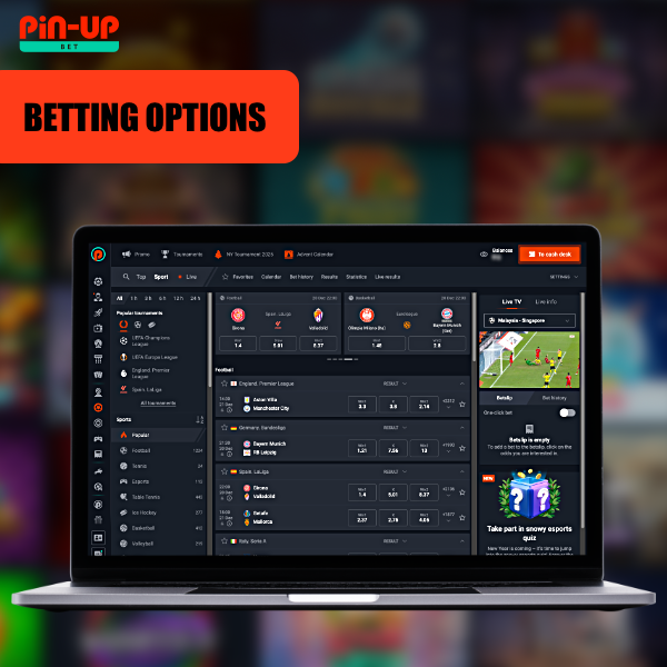 Pin Up betting options